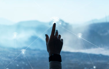 Robust Network Solutions